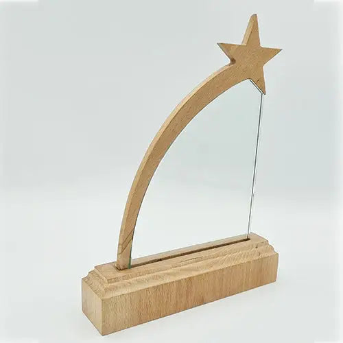 Flying Star Glass Wooden Shield - simple